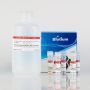 AccuBlue® NextGen dsDNA Quantitation Kit (1000 assays)