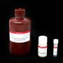 AccuGreen™ Broad Range dsDNA Quantitation Solution (100 assays)