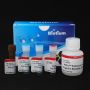 Viability PCR Starter Kit with PMA and Enhancer