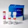GloMelt™ Thermal Shift Protein Stability Kit