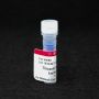 Thiazole Red Homodimer, 1 mM in DMSO