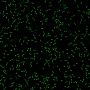 BactoView™ Live Green