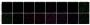 BactoView™ Dead 500/515, 500X in Water, Trial Size