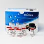 Nerve Terminal Staining Kit V