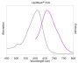 LipidSpot™ 488 Lipid Droplet Stain