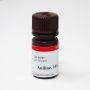 Fluorescein hexylamine
