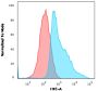 CD47(B6H12.2), CF700 conjugate, 0.1mg/mL