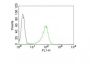 Human Nuclear Antigen(235-1), CF543 conjugate, 0.1mg/mL