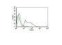 Human Nuclear Antigen(235-1), CF543 conjugate, 0.1mg/mL