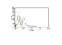 Human Nuclear Antigen(235-1), CF543 conjugate, 0.1mg/mL
