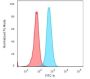 Beta-2 Microglobulin (B2M)(BBM.1), CF543 conjugate, 0.1mg/mL