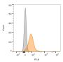 PD-L1 / PDCD1LG1 / CD274 / B7-H1 (Cancer Immunotherapy Target) (PDL1/2746), CF543 conjugate, 0.1mg/mL