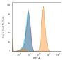 PD-L1 / PDCD1LG1 / CD274 / B7-H1 (Cancer Immunotherapy Target) (PDL1/2746), CF543 conjugate, 0.1mg/mL