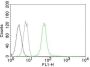 Vimentin(VM452), CF647 conjugate, 0.1mg/mL