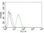 ODC-1 (Ornithine Decarboxylase-1)(ODC1/485), CF647 conjugate, 0.1mg/mL