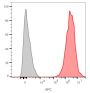 CD9 (TSPAN29) (Motility-Related Protein-1)(CD9/2343), CF647 conjugate, 0.1mg/mL