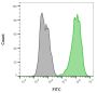 CD9 (TSPAN29) (Motility-Related Protein-1)(CD9/2343), CF647 conjugate, 0.1mg/mL