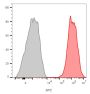 CD81 / TAPA-1 (C81/2885R), CF647 conjugate, 0.1mg/mL