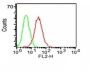 CD34(ICO-115), CF555 conjugate, 0.1mg/mL