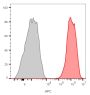 CD81 / TAPA-1 (1.3.3.22),  CF770 conjugate, 0.1mg/mL