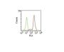 CD11c(HC1/1), CF680R conjugate, 0.1mg/mL