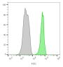 CD45 / LCA(135-4C5), CF680R conjugate, 0.1mg/mL