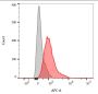 MHC II (HLA-DQ)(SPV-L3), CF488A conjugate, 0.1mg/mL
