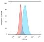 CD19(CVID3/429), CF488A conjugate, 0.1mg/mL