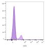 CD19(CVID3/429), CF488A conjugate, 0.1mg/mL