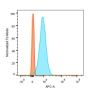 Cyclin B1(CCNB1/1098), CF488A conjugate, 0.1mg/mL