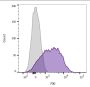 CD45 / LCA(2B11), CF594 conjugate, 0.1mg/mL