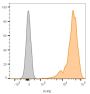 CD45 / LCA(2B11), CF594 conjugate, 0.1mg/mL
