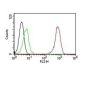 CD31 / PECAM-1(C31.7), Biotin conjugate, 0.1mg/mL