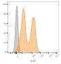 CD56 / NCAM(123C3.D5), Biotin conjugate, 0.1mg/mL