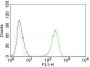 CD71(TFRC/1059), Biotin conjugate, 0.1mg/mL