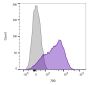 CD45 / LCA(136-4B5), 0.2mg/mL