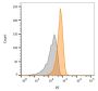 CD63(MX-49.129.5), 0.2mg/mL