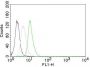 Cyclin D1(CCND1/809), 0.2mg/mL