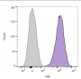 CD45 / LCA(2B11 + PD7/26), 1mg/mL