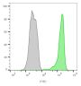 CD45 / LCA(2B11 + PD7/26), 1mg/mL