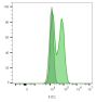 CD56 / NCAM1 / NKH1 (Neuronal Cell Marker) (NCAM1/2217R), 1mg/mL