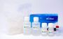 CELLDATA RNAstorm™ Fresh Cell and Tissue RNA Isolation Kit, 50 preps