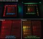 Gel-Bright™ Laser Diode Gel Illuminator
