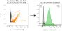 ExoBrite™ R-PE CD9 Flow Antibody (25 tests)