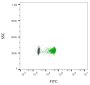 ExoBrite™ R-PE CD63 Flow Antibody (25 tests)
