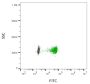 ExoBrite™ 410/450 CD81 Flow Antibody (100 tests)