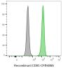 CD81 Recombinant Monoclonal Mouse Antibody (2304.81), CF®488A Conjugate - Biotium Choice