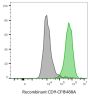 CD9 Recombinant Monoclonal Mouse Antibody (2310.9), CF®488A Conjugate - Biotium Choice