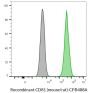 CD81 (Mouse/Rat) Recombinant Monoclonal Hamster Antibody (24MS04.81), CF®405M Conjugate - Biotium Choice