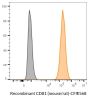 CD81 (Mouse/Rat) Recombinant Monoclonal Hamster Antibody (24MS04.81), CF®568 Conjugate - Biotium Choice